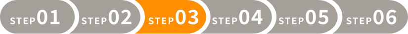 STEP03